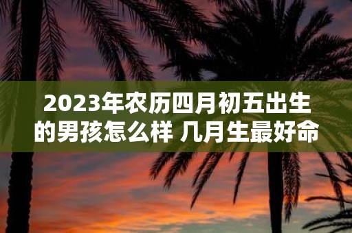 2025年农历四月初五出生的男孩怎么样 几月生最好命