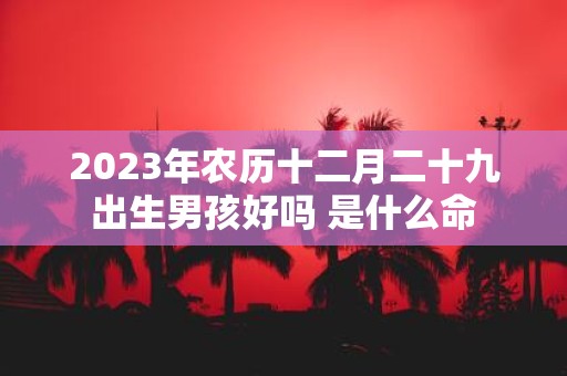 2025年农历十二月二十九出生男孩好吗 是什么命