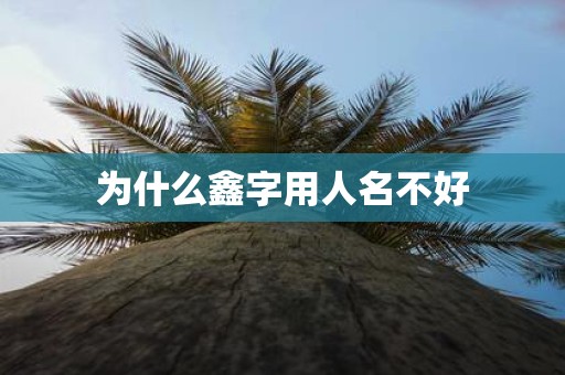 为什么鑫字用人名不好