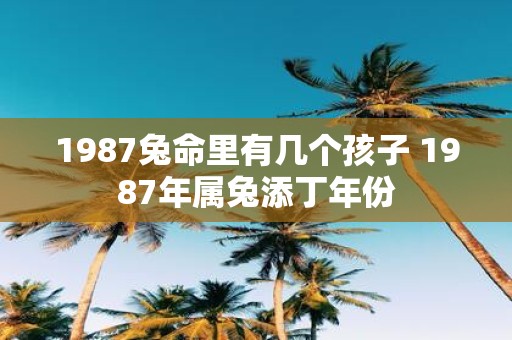 1987兔命里有几个孩子 1987年属兔添丁年份