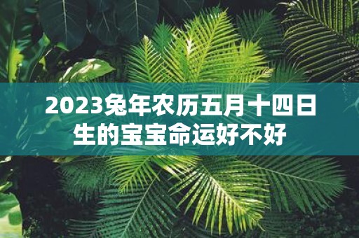2025蛇年农历五月十四日生的宝宝命运好不好