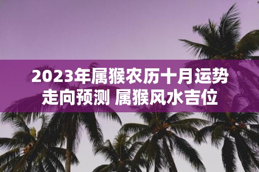 2025年属猴农历十月运势走向预测 属猴风水吉位