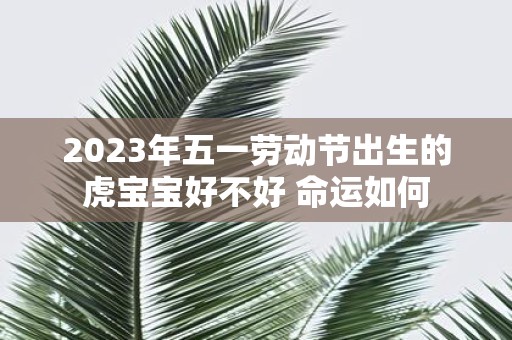 2025年五一劳动节出生的虎宝宝好不好 命运如何