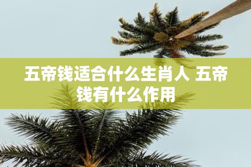 五帝钱适合什么生肖人 五帝钱有什么作用