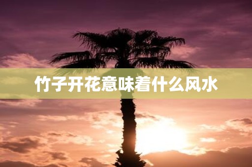 竹子开花意味着什么风水