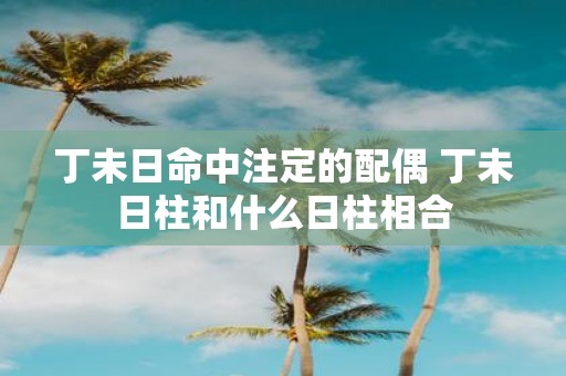 丁未日命中注定的配偶 丁未日柱和什么日柱相合