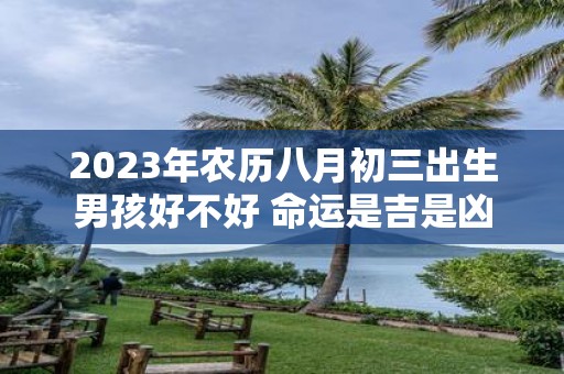 2025年农历八月初三出生男孩好不好 命运是吉是凶