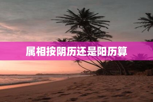属相按阴历还是阳历算