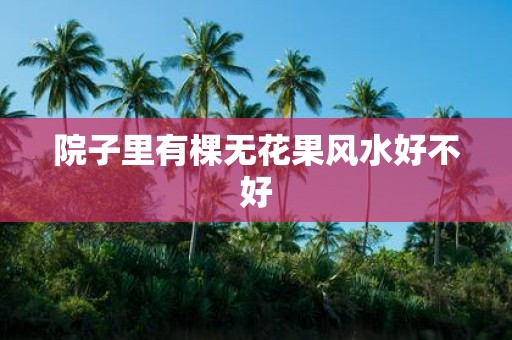 院子里有棵无花果风水好不好