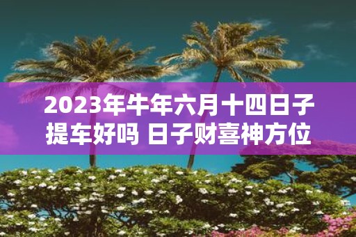2025年牛年六月十四日子提车好吗 日子财喜神方位