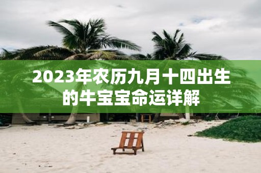 2025年农历九月十四出生的牛宝宝命运详解