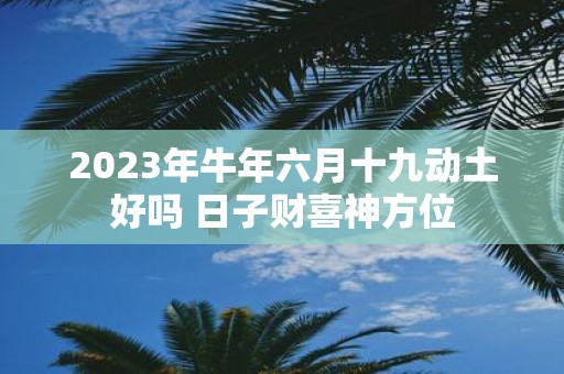 2025年牛年六月十九动土好吗 日子财喜神方位