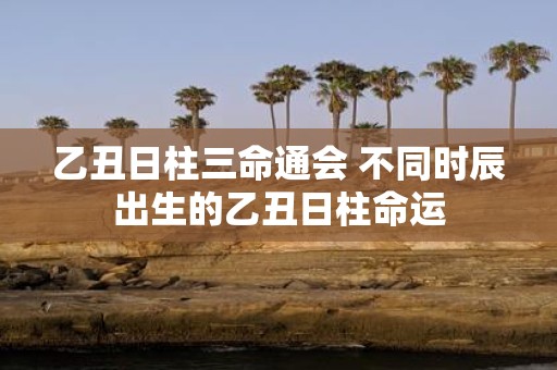 乙丑日柱三命通会 不同时辰出生的乙丑日柱命运