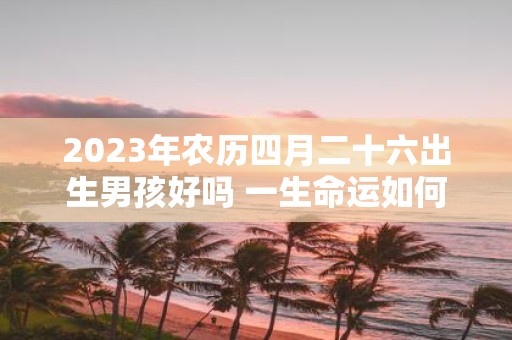 2025年农历四月二十六出生男孩好吗 一生命运如何