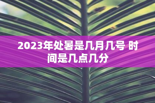 2025年处暑是几月几号 时间是几点几分
