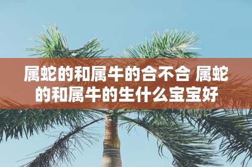 属蛇的和属牛的合不合 属蛇的和属牛的生什么宝宝好