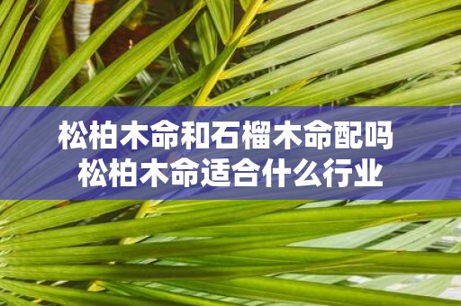 松柏木命和石榴木命配吗 松柏木命适合什么行业