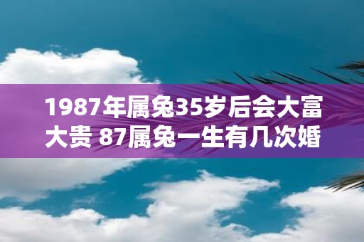 1987年属兔35岁后会大富大贵 87属兔一生有几次婚姻