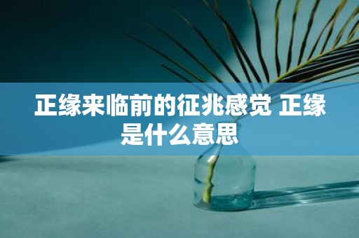 正缘来临前的征兆感觉 正缘是什么意思