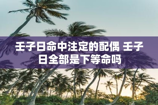 壬子日命中注定的配偶 壬子日全部是下等命吗