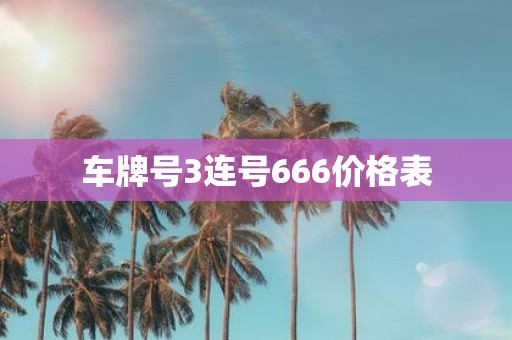 车牌号3连号666价格表