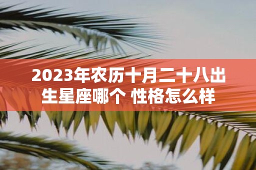2025年农历十月二十八出生星座哪个 性格怎么样