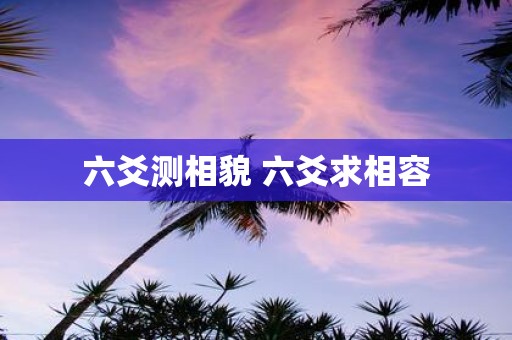 六爻测相貌 六爻求相容