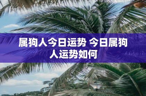 属狗人今日运势 今日属狗人运势如何