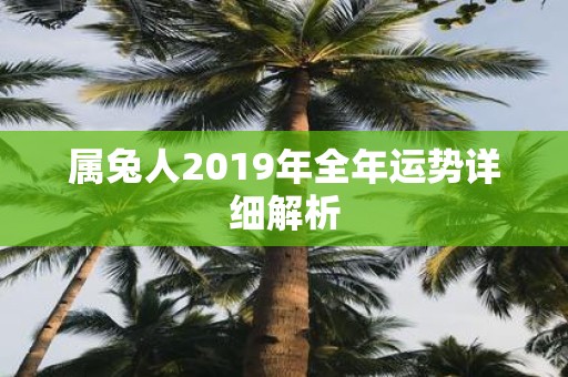 属兔人2019年全年运势详细解析