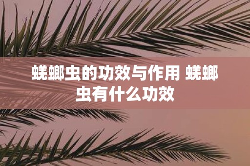 蜣螂虫的功效与作用 蜣螂虫有什么功效