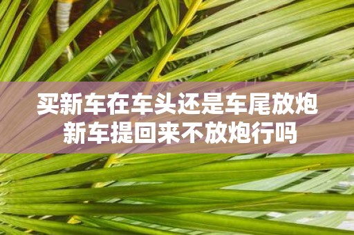 买新车在车头还是车尾放炮 新车提回来不放炮行吗