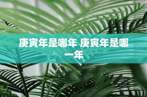 庚寅年是哪年 庚寅年是哪一年