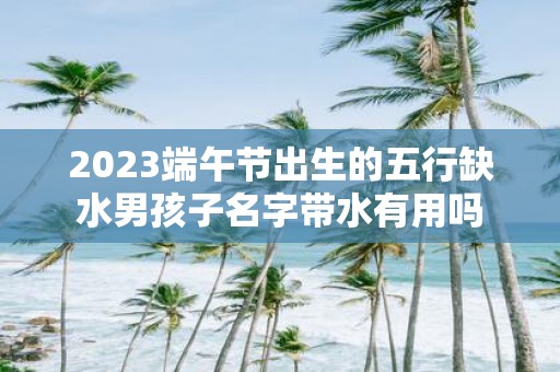 2025端午节出生的五行缺水男孩子名字带水有用吗