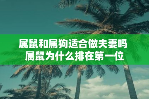 属鼠和属狗适合做夫妻吗 属鼠为什么排在第一位