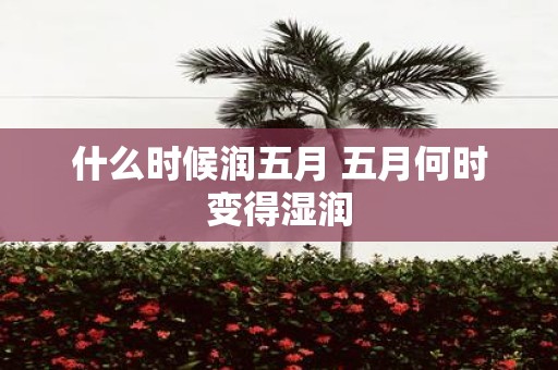 什么时候润五月 五月何时变得湿润