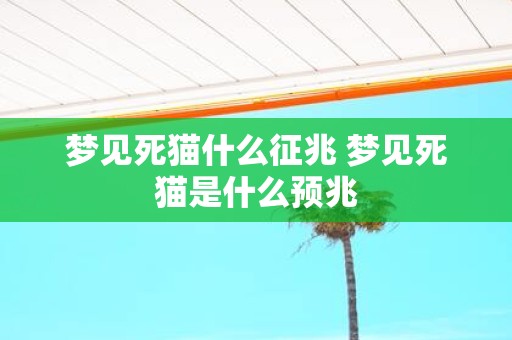 梦见死猫什么征兆 梦见死猫是什么预兆