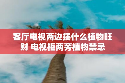 客厅电视两边摆什么植物旺财 电视柜两旁植物禁忌