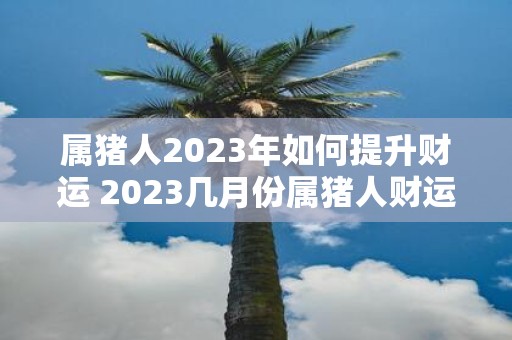 属猪人2025年如何提升财运 2025几月份属猪人财运最差