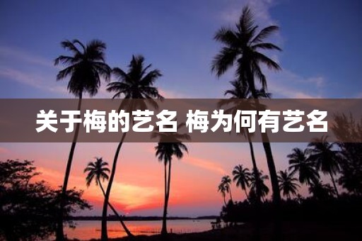 关于梅的艺名 梅为何有艺名