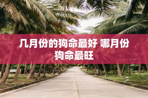 几月份的狗命最好 哪月份狗命最旺
