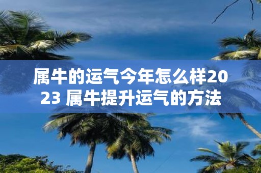 属牛的运气今年怎么样2025 属牛提升运气的方法