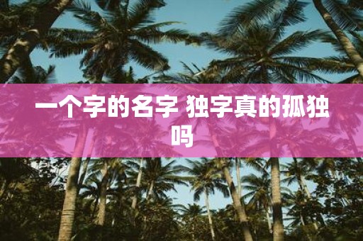 一个字的名字 独字真的孤独吗
