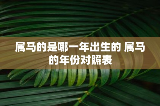 属马的是哪一年出生的 属马的年份对照表
