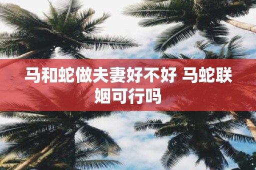 马和蛇做夫妻好不好 马蛇联姻可行吗