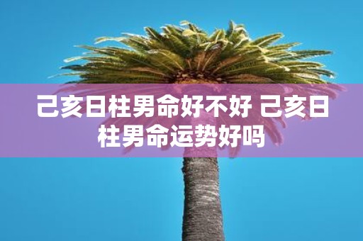 己亥日柱男命好不好 己亥日柱男命运势好吗
