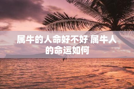 属牛的人命好不好 属牛人的命运如何