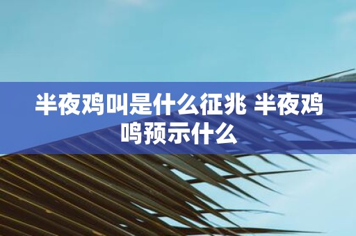 半夜鸡叫是什么征兆 半夜鸡鸣预示什么