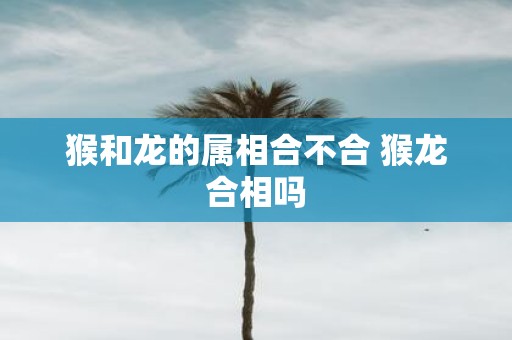 猴和龙的属相合不合 猴龙合相吗
