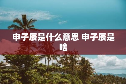 申子辰是什么意思 申子辰是啥
