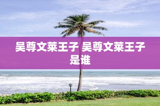 吴尊文莱王子 吴尊文莱王子是谁
